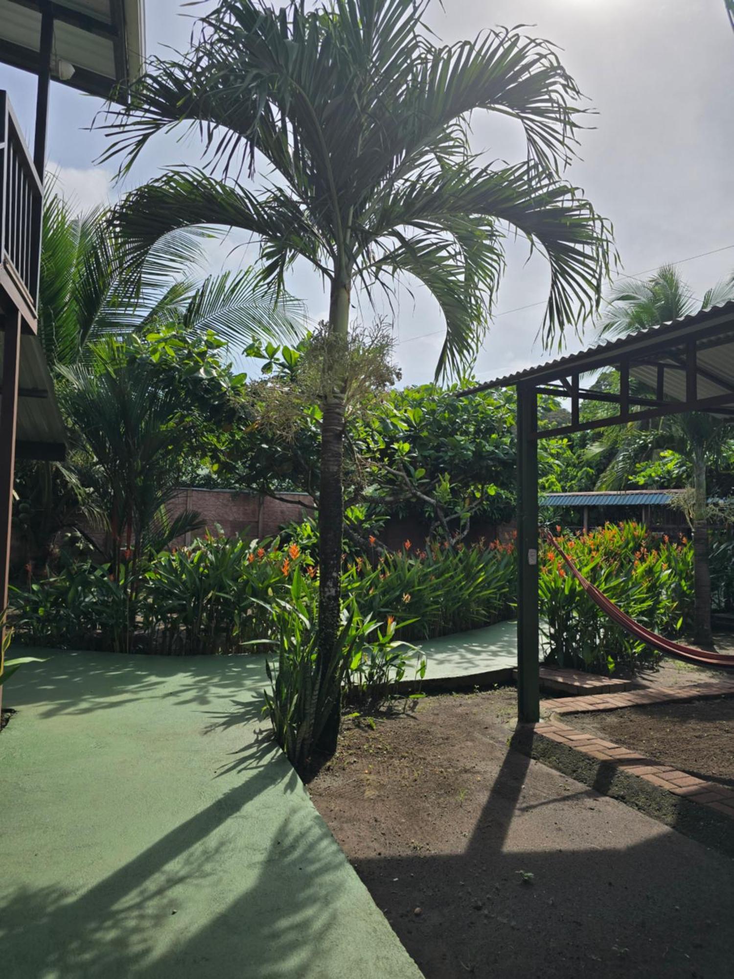 Tortuguero Hill Rooms Bagian luar foto