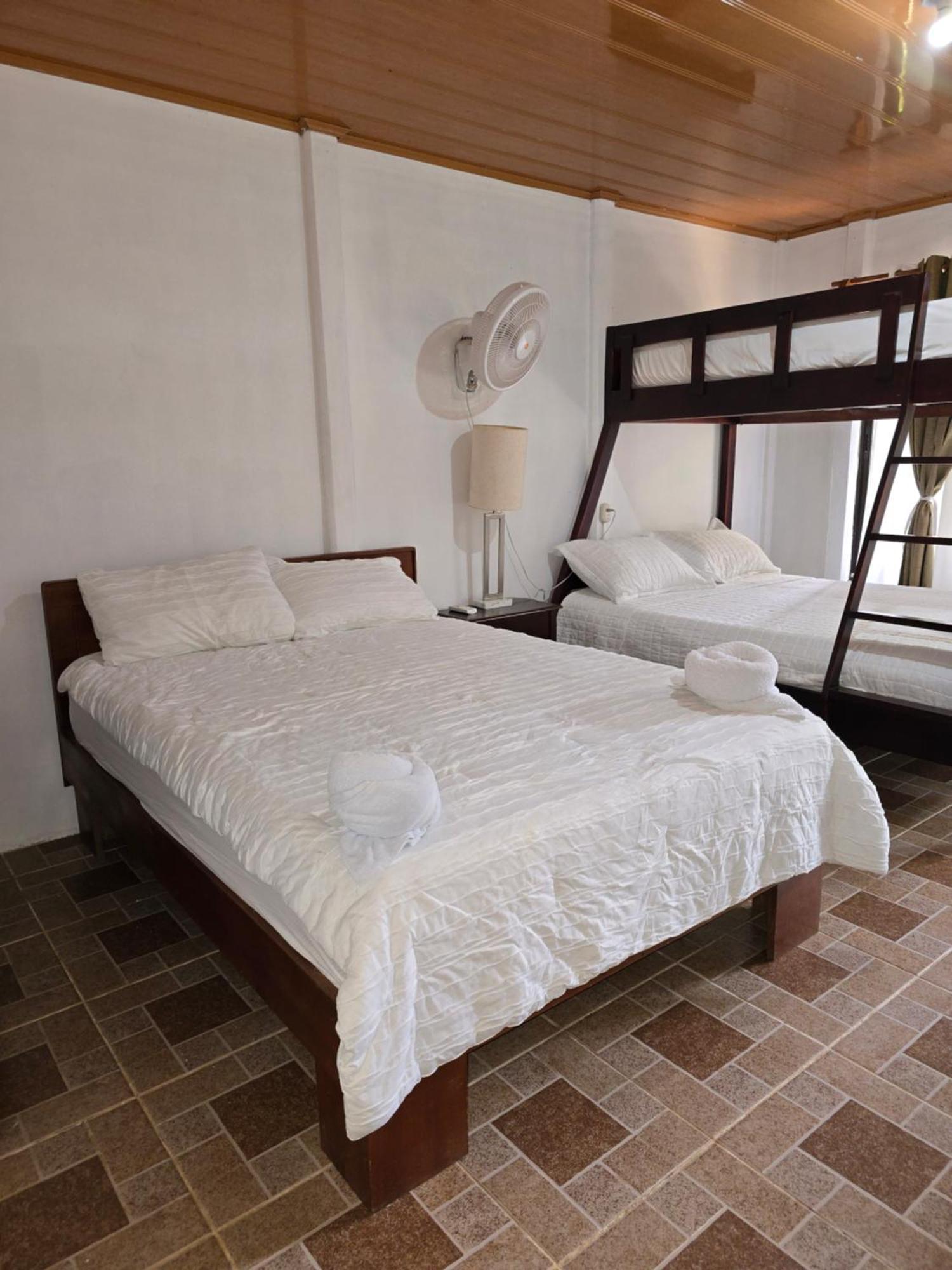 Tortuguero Hill Rooms Bagian luar foto